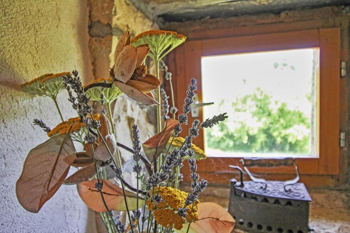 Erika In Sumber Villa Nedeščina Exteriör bild